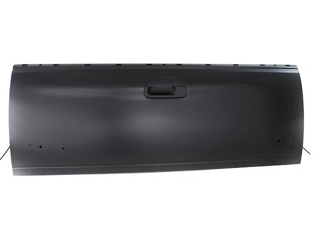 Puerta trasera para Ford F150 Heritage 2004 FZ698FY Foto 1 de 1