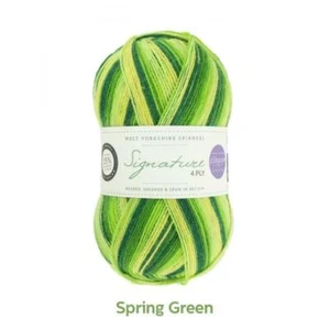 WYS Signature 4 ply Seasons Knitting Wool Yarn 100g - 882 Spring Green - Picture 1 of 1