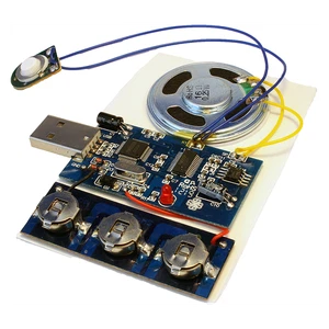 [ USB2MV2 ] 75 second USB recording module  (1 minute 15 seconds) - Picture 1 of 3