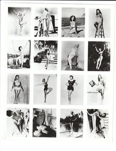 HOLLYWOOD  STARLETS " pin-up/bathing suits" COMPOSITE 1950s mail-out PHOTO sheet - Picture 1 of 2