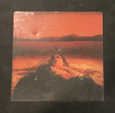Alice in Chains - Dirt LP Deluxe Box Set 2023 Columbia [30th Anniversary] EX/EX - Image 1 of 4