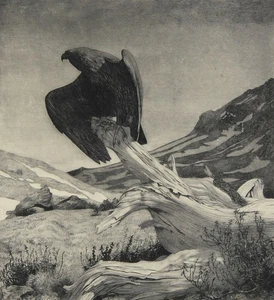 HANS FRANK - Stolzer Greifvogel 1 - Radierung - 1909 - Picture 1 of 2