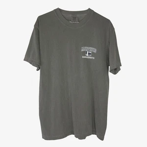 Comfort Colors Martha’s Vineyard Massachusetts Rundhalsausschnitt T-Shirt Tee Medium grau - Bild 1 von 12