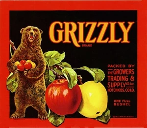 Hotchkiss Colorado Grizzly Bear Red Version Apple Fruit Crate Label Art Print - Picture 1 of 1