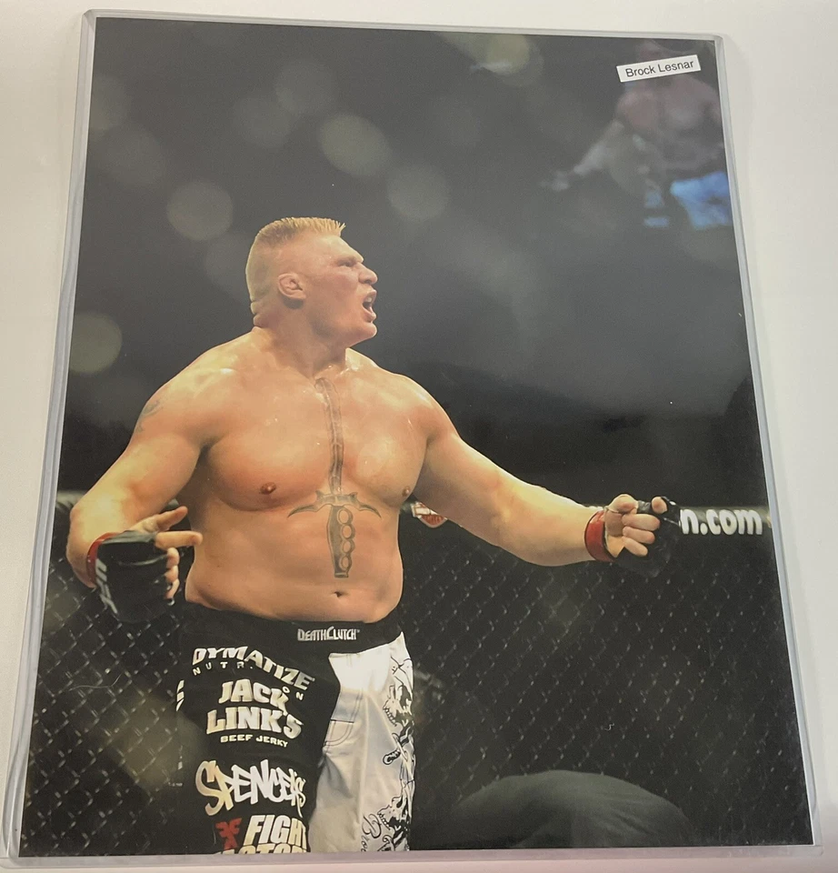 WWE BROCK LESNAR foto 16X20 LUCHA LIBRE fotografía póster impresión UFC Foto 1 de 1