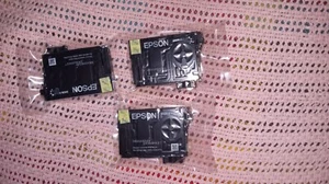 Genuine Epson 252 Color Ink Cartridges 3-Pack Exp 01/2027 Sealed make offer - Picture 1 of 4