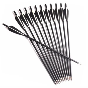6/12/24Pcs 17"/20"Carbon Shaft Arrows Tips For Compoundbow Archery Practice - Picture 1 of 10