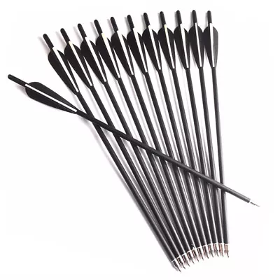 6/12/24Pcs 17"/20"Carbon Shaft Arrows Tips For Compoundbow Archery Practice - Image 1 of 4