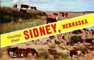 Postal Saludos de Sidney Nebraska Tarjeta Caballos y Vacas - Imagen 1 de 2