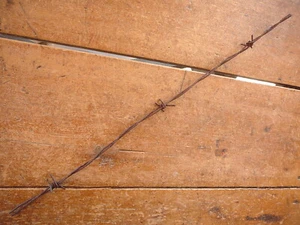 ROSSLICHTSTÄRKE VIERPUNKT WIDERHAKEN auf ZWEI LICHTLINIEN - ANTIKER STACHELDRAHT - Bild 1 von 5