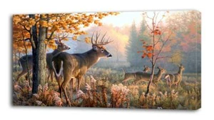 4 Tamaños - IMPRESIÓN EN LIENZO Ciervo Cola Blanca Decoración de Pared Arte Giclee Naturaleza Animales - Imagen 1 de 1