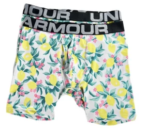 Under Armour Mens Tech HEATGEAR  6-inch  2 Pack Boxer Jock Shorts  Underwear - Picture 1 of 4