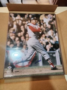 Stan Musial Gold Rush 16x20 Autographed Photo PSA Authentic - Picture 1 of 2