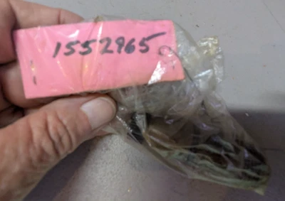 Studebaker Speedometer Gear 1552965 NOS - Image 1 of 3