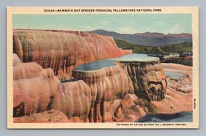 Mammut heiße Quellen Terrassen Yellowstone Wyoming Postkarte - Bild 1 von 2