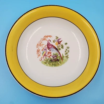 Cuenco para servir Royal Rudolstadt blanco con banda amarilla y aves exóticas 9,75" Foto 1 de 4