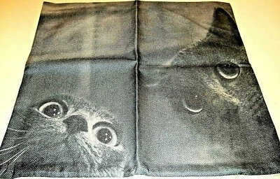 Square Cotton Canvas Two Peeking Gray Cats Pillow Cover 17" x 17" NEW (#89) - Image 1 of 4
