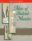 Atlas of Skeletal Muscles (McGraw-Hill Internatio by Stone, Judith A. 007116992X