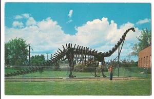 1963 DIPLODOCUS  DINOSAUR Cement Replica Natural History Vernal Utah Postcard  - Picture 1 of 2