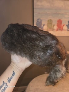Vintage Youth Large Raccoon Fur Hat With Tail Davy Crockett - Picture 1 of 4