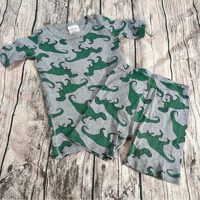 Juego de pijama de dinosaurio gris y verde orgánico Hanna Andersson talla 8 Foto 1 de 4