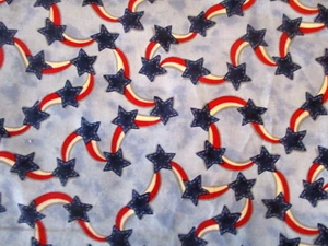 1-3/4 YDS "STAND PROUD" PATRIOTISCHE STERNE & SWAG 100 % BAUMWOLLE OOP - Bild 1 von 3