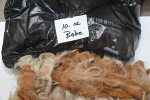 Vellón de fibra de lana de alpaca cruda 1s tBabe 10 oz crema, marrón rojizo. - Imagen 1 de 3