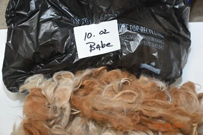 RAW Alpaca Wool Fiber Fleece 1s tBabe 10oz Cream,reddish brown. - Image 1 of 3