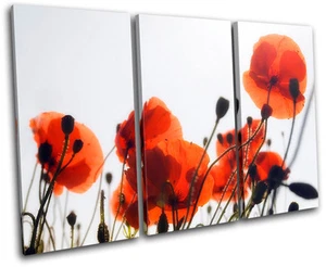 Poppy Field Flowers Floral TREBLE CANVAS WALL ART Picture Print VA - Picture 1 of 1