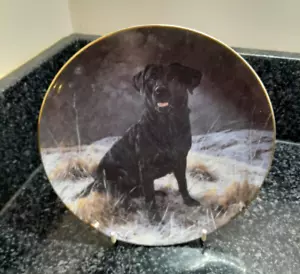 Franklin neuwertiger Teller - geduldig warten - schwarzer Labrador von John Trickett - Bild 1 von 5