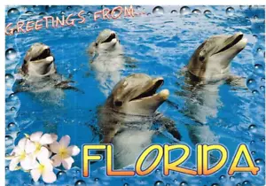 POSTCARD: Greetings From Florida - Picture 1 of 2