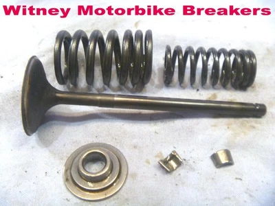 TRIUMPH T300 VÁLVULA DE ENTRADA ADMISIÓN TROFEO DAYTONA SPRINT TIGER TRIDENT VELOCIDAD TRIPLE Foto 1 de 4