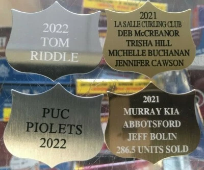 Custom Laser Engraved 3 Point Shield For annual plaques, Fantasy, Employee SALE! - Image 1 of 3