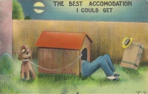 Vintage Postcard Dog House Girl Sleeping "The Best Accomodation I Could Get" - Picture 1 of 2