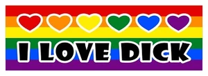 I love Dick LGBT Gay Lesbian diversity decal sticker 3 x 9 - Picture 1 of 1