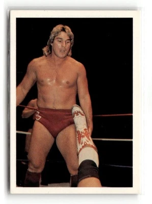1988 Wonderama WCW NWA - Terry Taylor #22 - Image 1 of 2