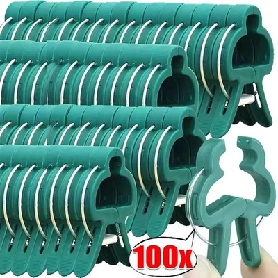 100 PIEZAS CLIPS GRANDES PARA PLANTAS Y JARDINES Soporte Tomate Vegetal Enrejado Cordel Corbatas Foto 1 de 4