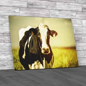 Dairy Cow On The Countryside Canvas Print Large Picture Wall Art - Picture 1 of 12