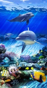 TOILE TABLEAUX fond marin poisson mer océan dauphin 50X70 CM - Imagen 1 de 4
