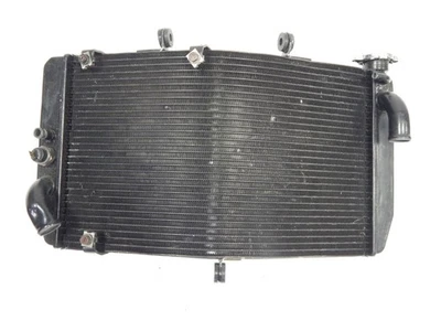 99 00 01 02 03 04 05 06 HONDA CBR 600 F4 F4I 600F4 600F4I POSVENTA radiador Foto 1 de 4