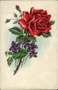 Vintage Floral Postcard Red Rose and Violets Printed in Germany - Picture 1 of 2