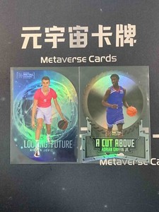 2022 Skybox Metal Universe Nikola Jovic Adrian Griffin Jr. Insert Card (x2)