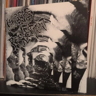 Haggus Recalcitrant Split Vinyl Dystopia Acid Bath HKFU Despise You Foto 1 de 3