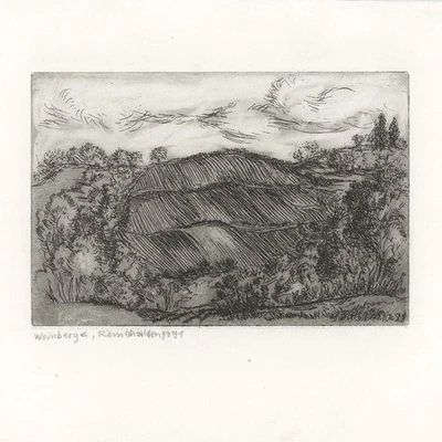 Remshalden Weinberg Landschaft Baden-Württemberg plattensigniert Radierung 1991 - Bild 1 von 3