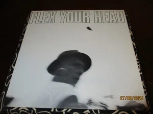 v/a FLEX YOUR HEAD LP LIM REISSUE Vinyl + Poster | Dischord  HC PUNK - Bild 1 von 5