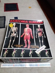 Gioco Vintage Anni 70 Corpo Umano ANATOMIA HUMANA - Foto 1 di 6
