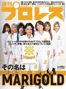 Dream Star Fighting Marigold Weekly Pro Wrestling 5/1 2024 JPN Mag NJPW AJPW New