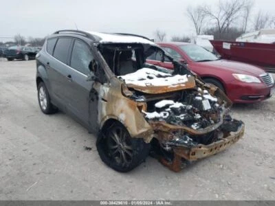 Trunk/Hatch/Tailgate Privacy Tint Glass Fits 17-19 ESCAPE 169683 - Image 1 of 4