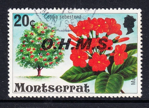 Montserrat: Flowering Trees, Cordia sebestena, Manjak, OHMS, Used p773 Cover