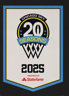 New Chicago Sky 20 Seasons Mini Banner: From 6/7/2025 United Center Game v Fever - Image 1 of 2